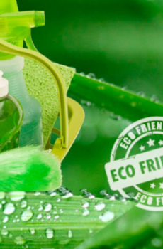 PRODUCTOS ECOLÓGICOS